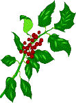 the holly